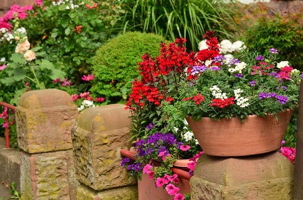 les 5 meilleures façons d'organiser vos plantes pour les événements en plein air dans votre jardin