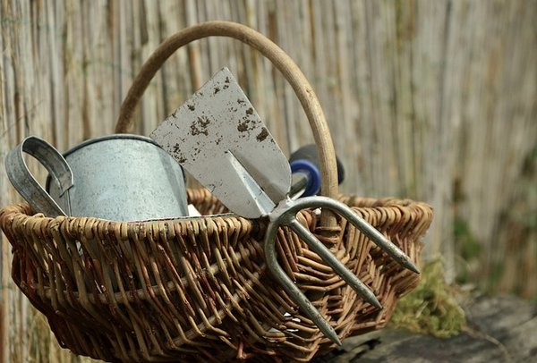 Choisir vos outils de jardinage : les critères à prendre en compte